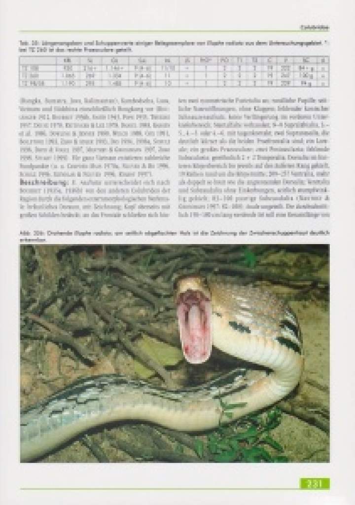 Die Amphibien und Reptilien eines Tieflandfeuchtwald-Schutzgebietes in Vietnam